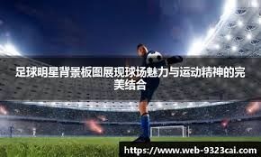 波兰足协谴责投掷烟火球迷：绝不容忍任何违反安全规定的行为