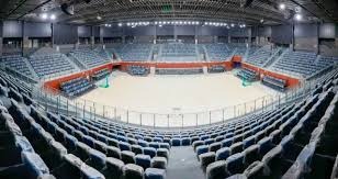 《王者荣耀》龙年珍藏英雄“敖隐”角色演示公开！