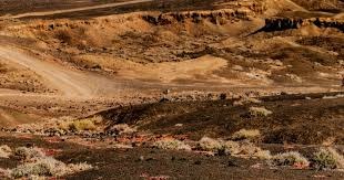 国足本届世预赛对日沙澳战绩为六战全败，上届战绩2平4负